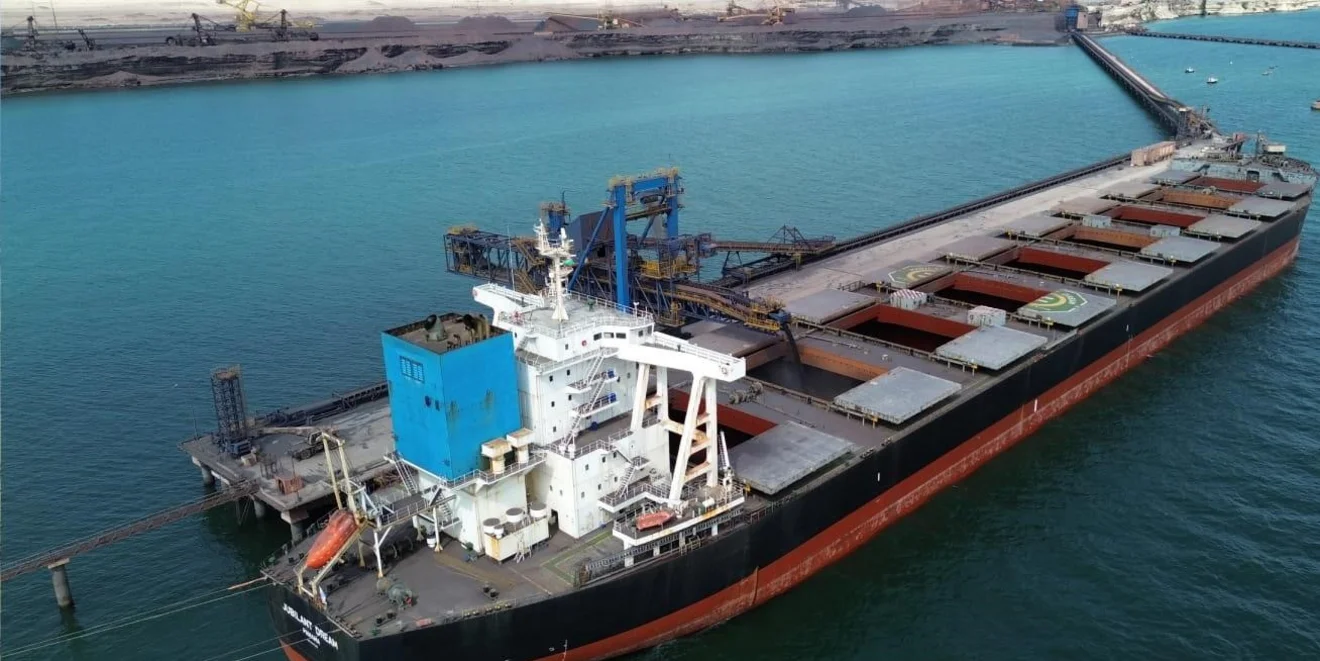Ship loader as part of the complete terminal
