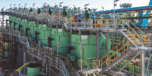 DELKOR BQR Flotation Cells